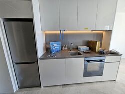 Amber Park (D15), Condominium #503564641